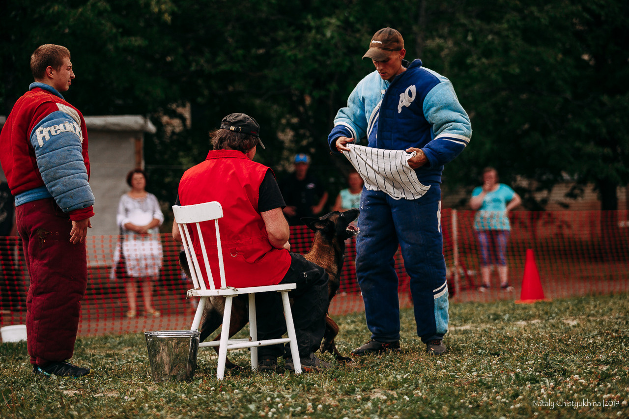 Соревнования по мондьорингу. Фотограф-анималист Наталия Чистюхина в г. Сосновый Бор и ЛО