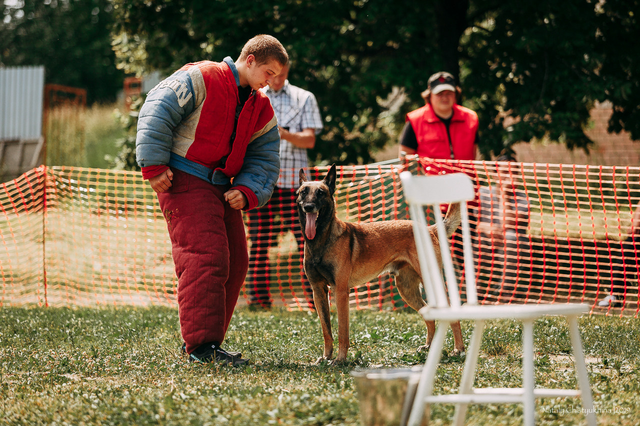 Соревнования по мондьорингу. Фотограф-анималист Наталия Чистюхина в г. Сосновый Бор и ЛО