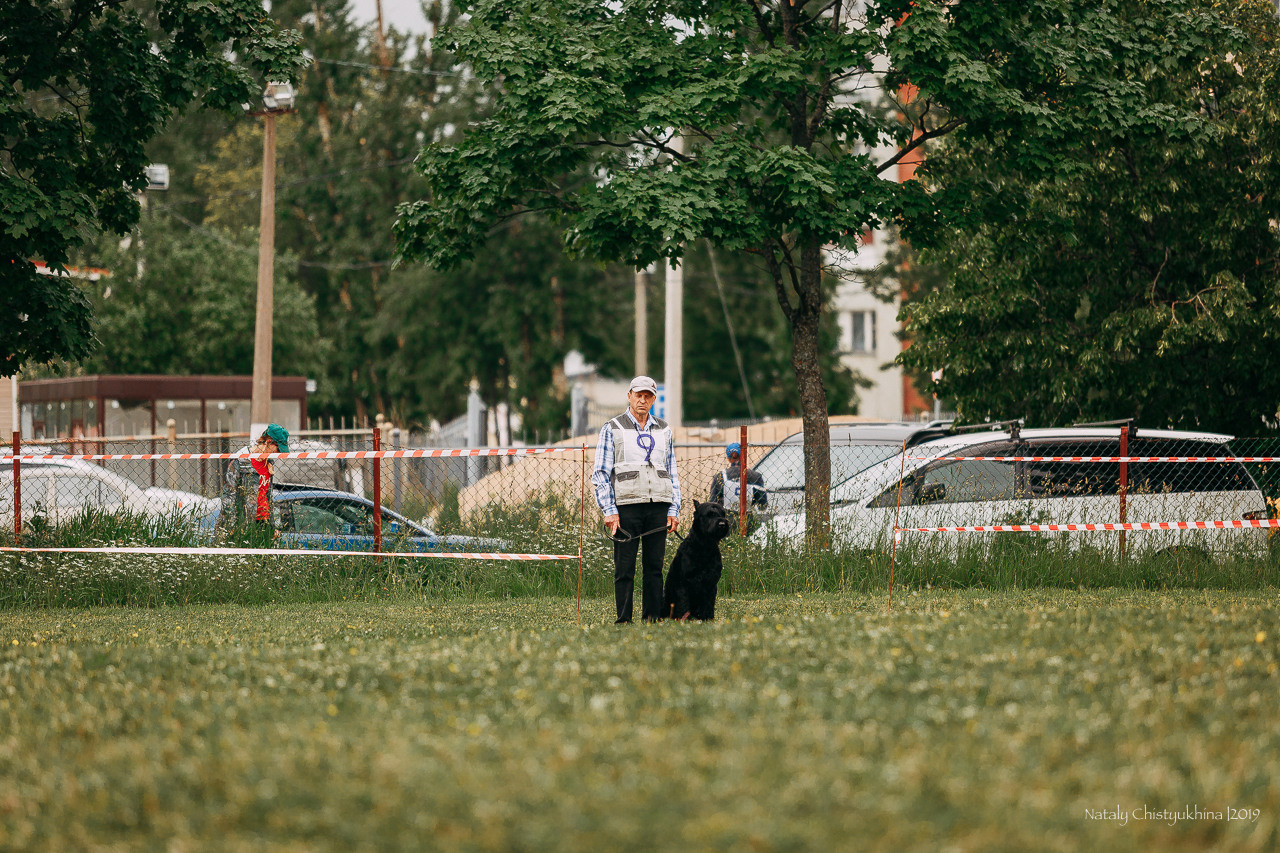 Соревнования БРР. Фотограф-анималист Наталия Чистюхина в г. Сосновый Бор и ЛО