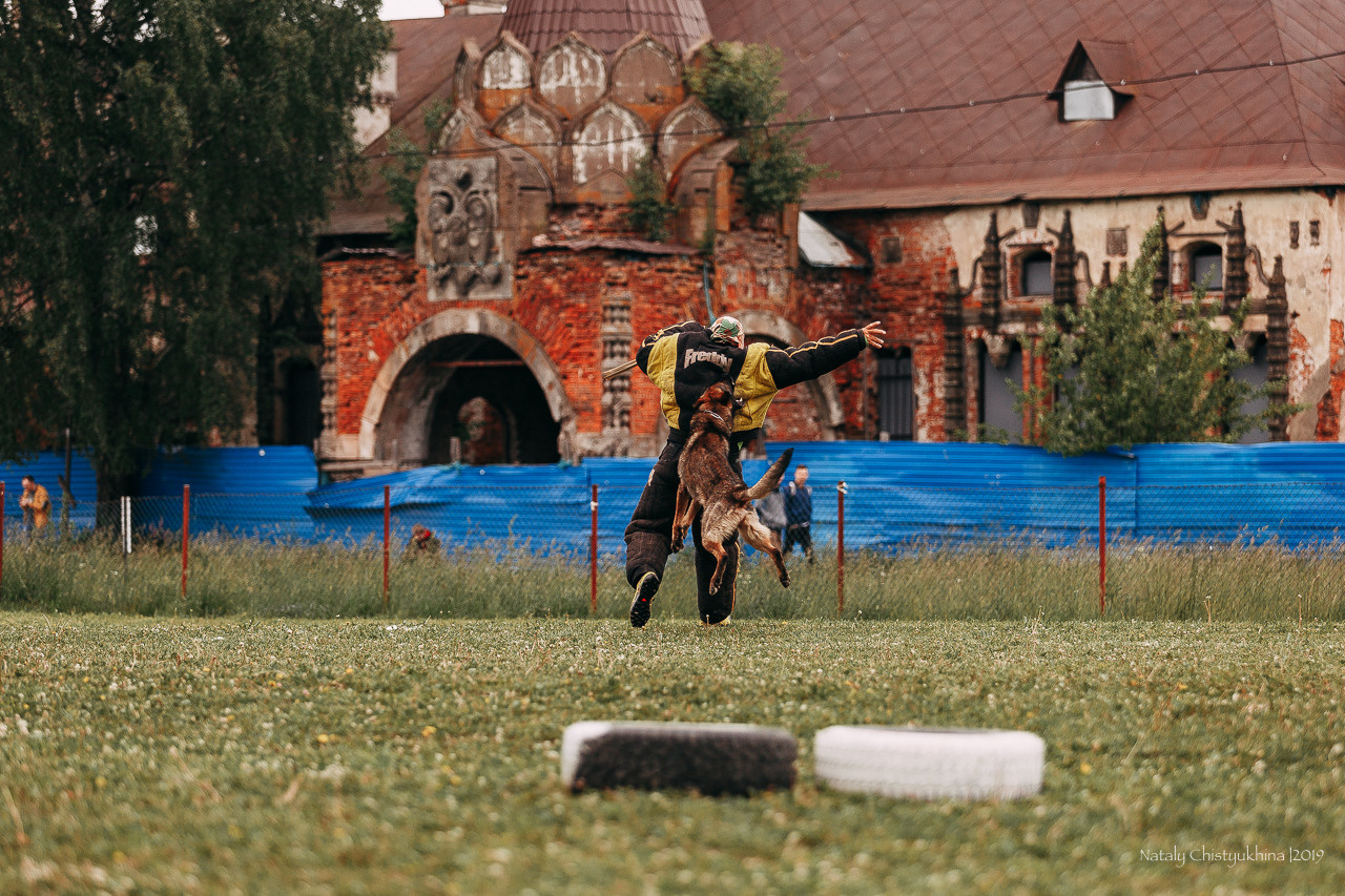 Соревнования БРР. Фотограф-анималист Наталия Чистюхина в г. Сосновый Бор и ЛО