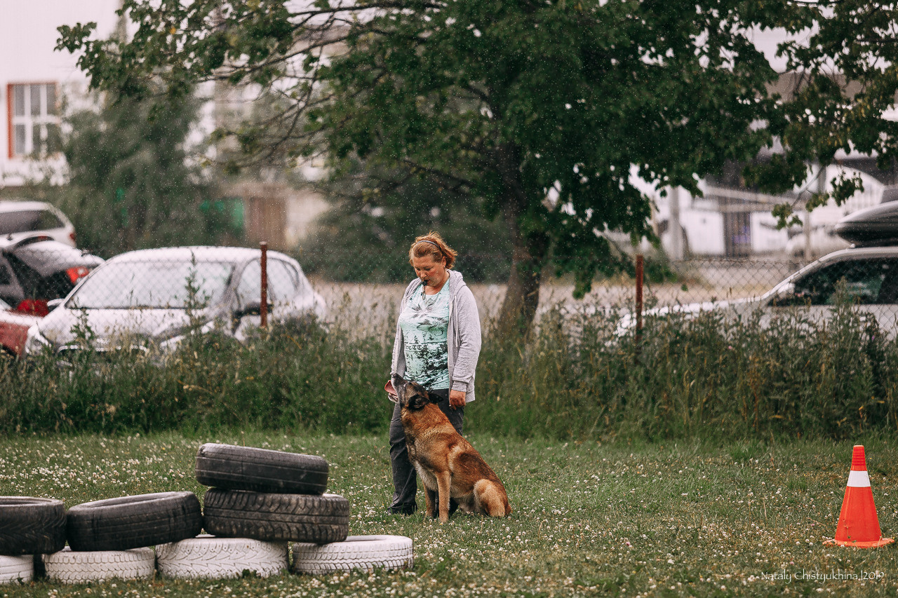 Соревнования по мондьорингу. Фотограф-анималист Наталия Чистюхина в г. Сосновый Бор и ЛО