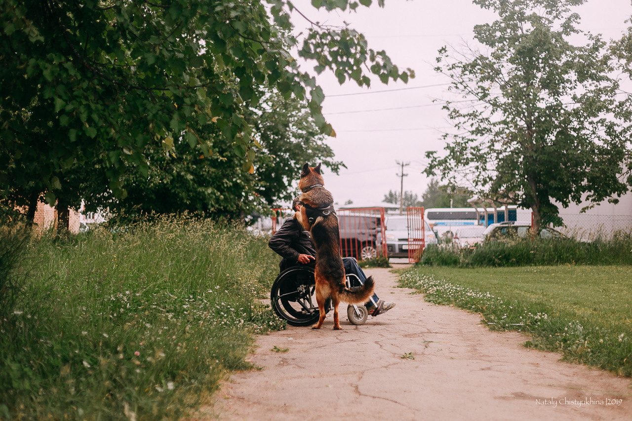 Соревнования БРР. Фотограф-анималист Наталия Чистюхина в г. Сосновый Бор и ЛО