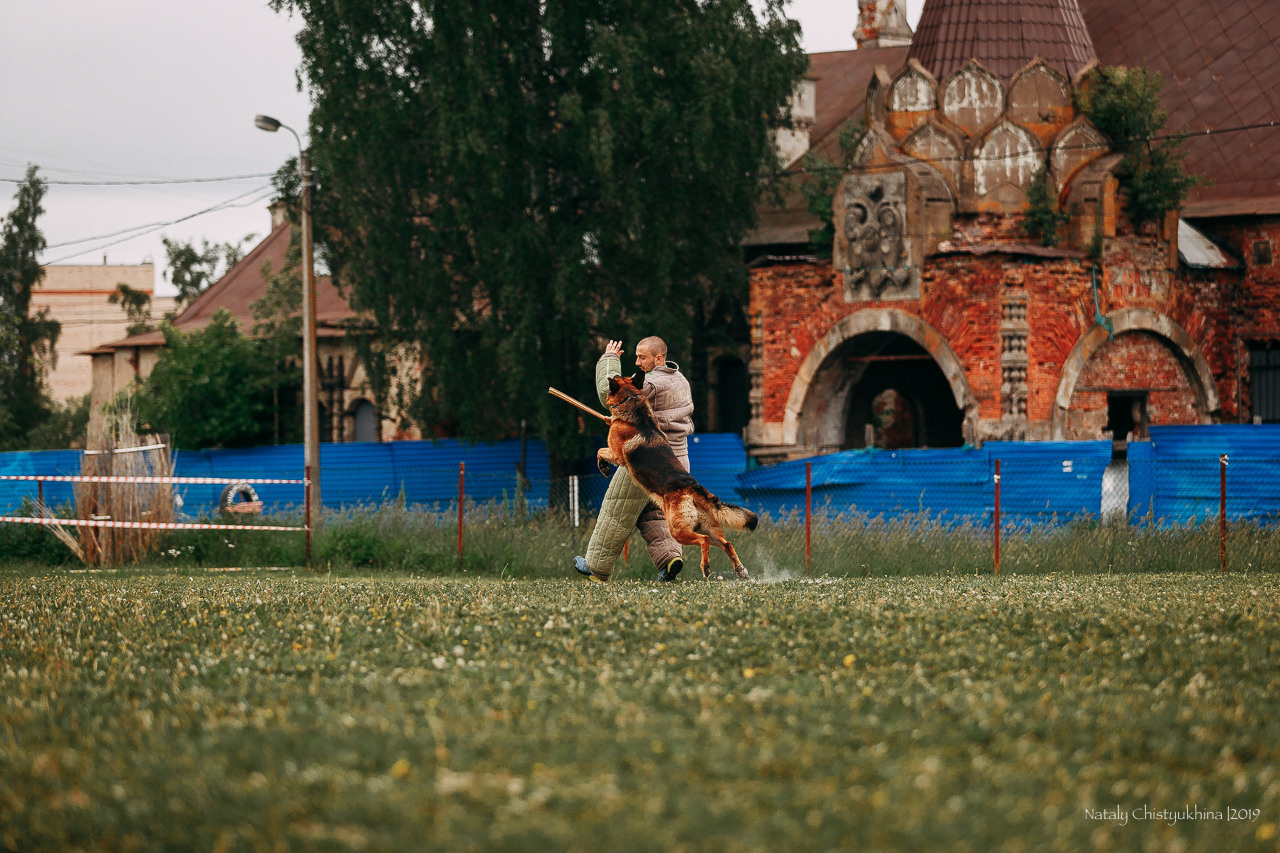 Соревнования БРР. Фотограф-анималист Наталия Чистюхина в г. Сосновый Бор и ЛО