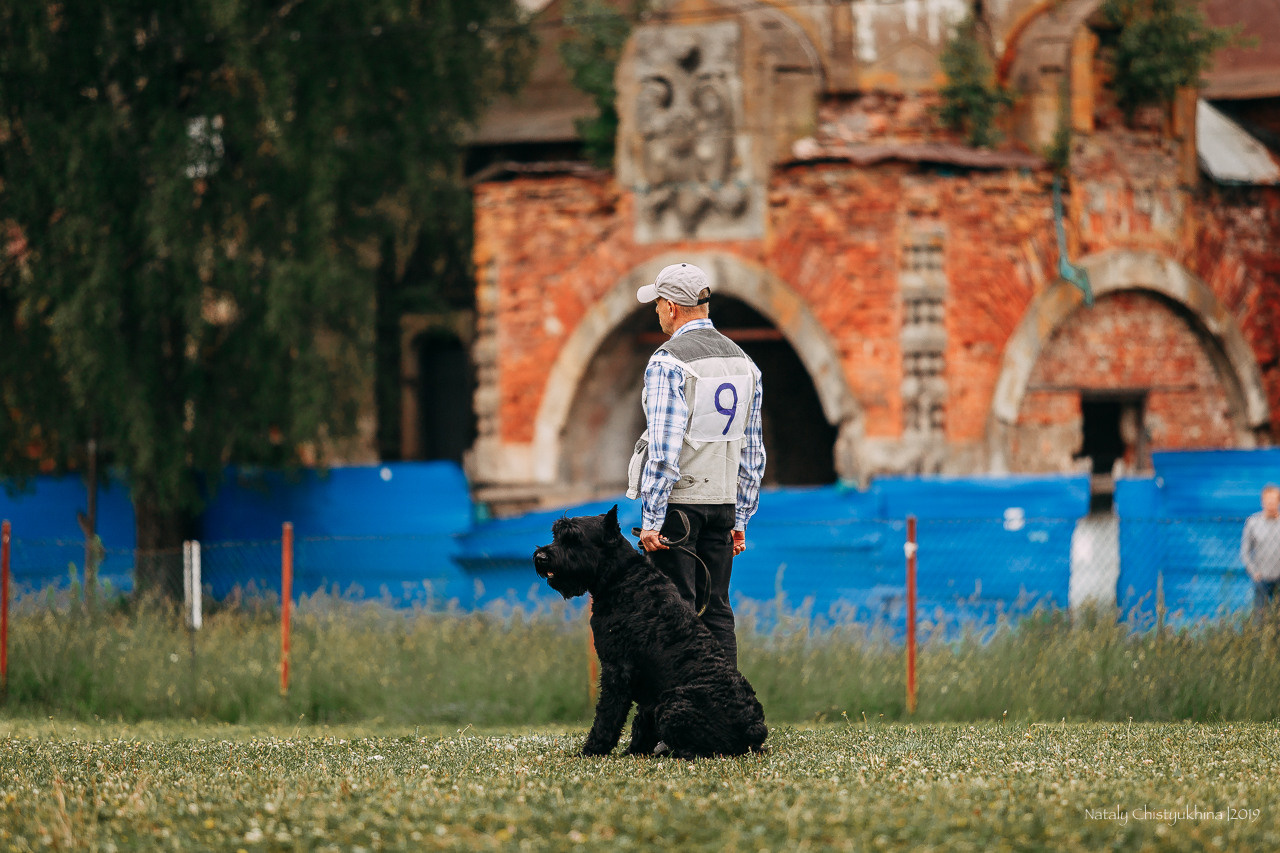 Соревнования БРР. Фотограф-анималист Наталия Чистюхина в г. Сосновый Бор и ЛО