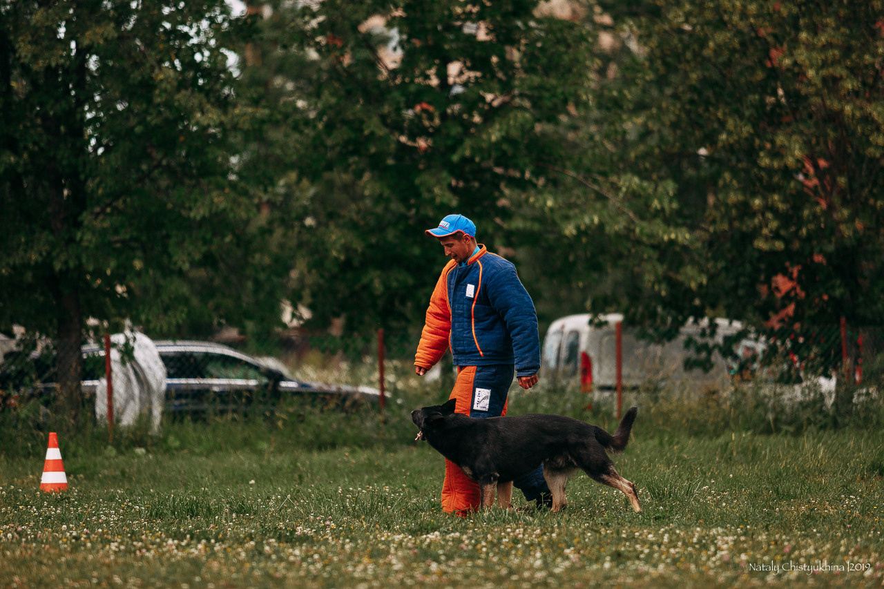 Соревнования по мондьорингу. Фотограф-анималист Наталия Чистюхина в г. Сосновый Бор и ЛО