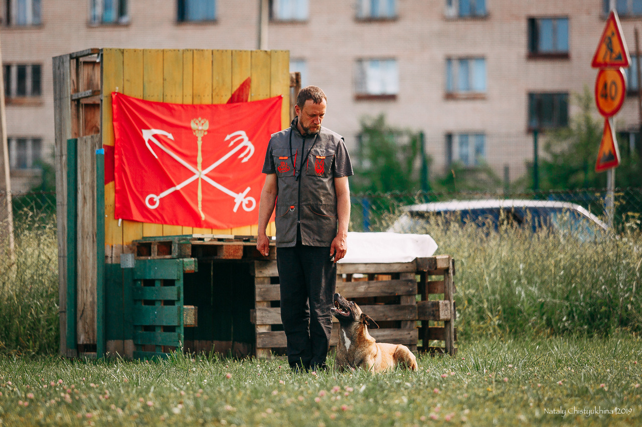 Соревнования по мондьорингу. Фотограф-анималист Наталия Чистюхина в г. Сосновый Бор и ЛО