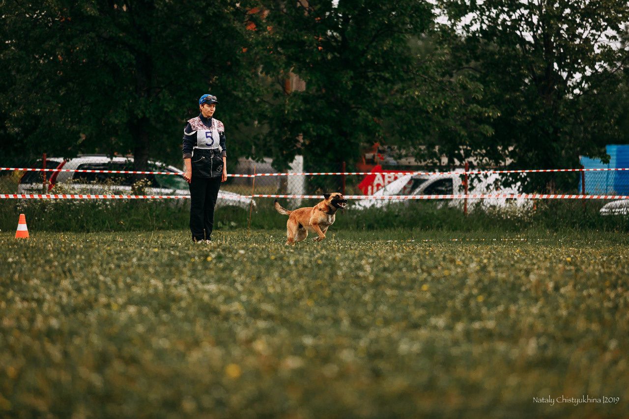 Соревнования БРР. Фотограф-анималист Наталия Чистюхина в г. Сосновый Бор и ЛО