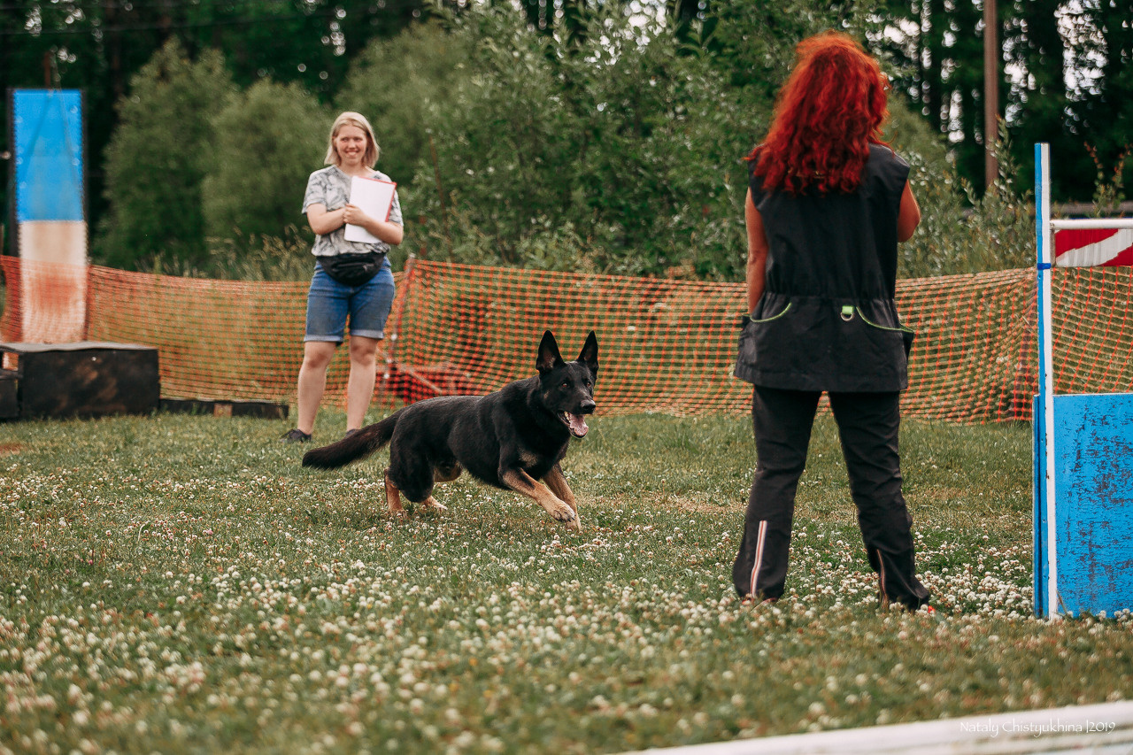 Соревнования по мондьорингу. Фотограф-анималист Наталия Чистюхина в г. Сосновый Бор и ЛО