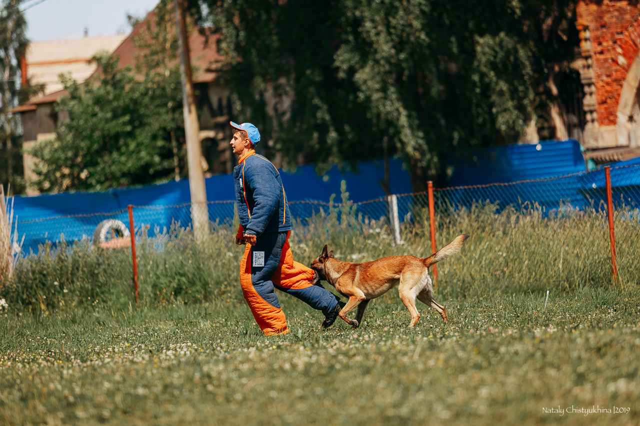 Соревнования по мондьорингу. Фотограф-анималист Наталия Чистюхина в г. Сосновый Бор и ЛО