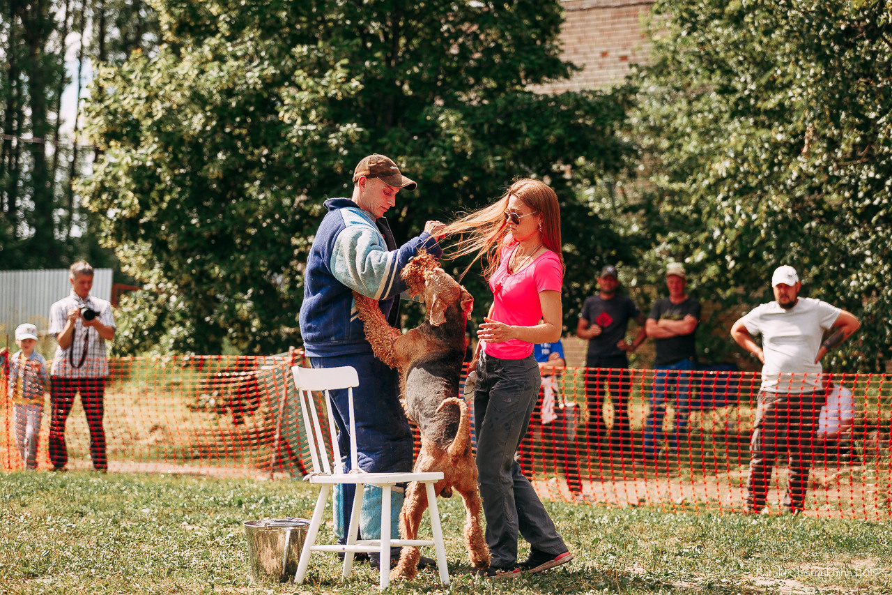 Соревнования по мондьорингу. Фотограф-анималист Наталия Чистюхина в г. Сосновый Бор и ЛО