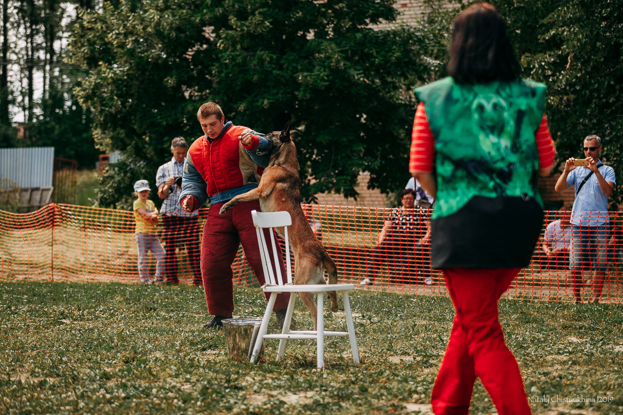 Соревнования по мондьорингу. Фотограф-анималист Наталия Чистюхина в г. Сосновый Бор и ЛО