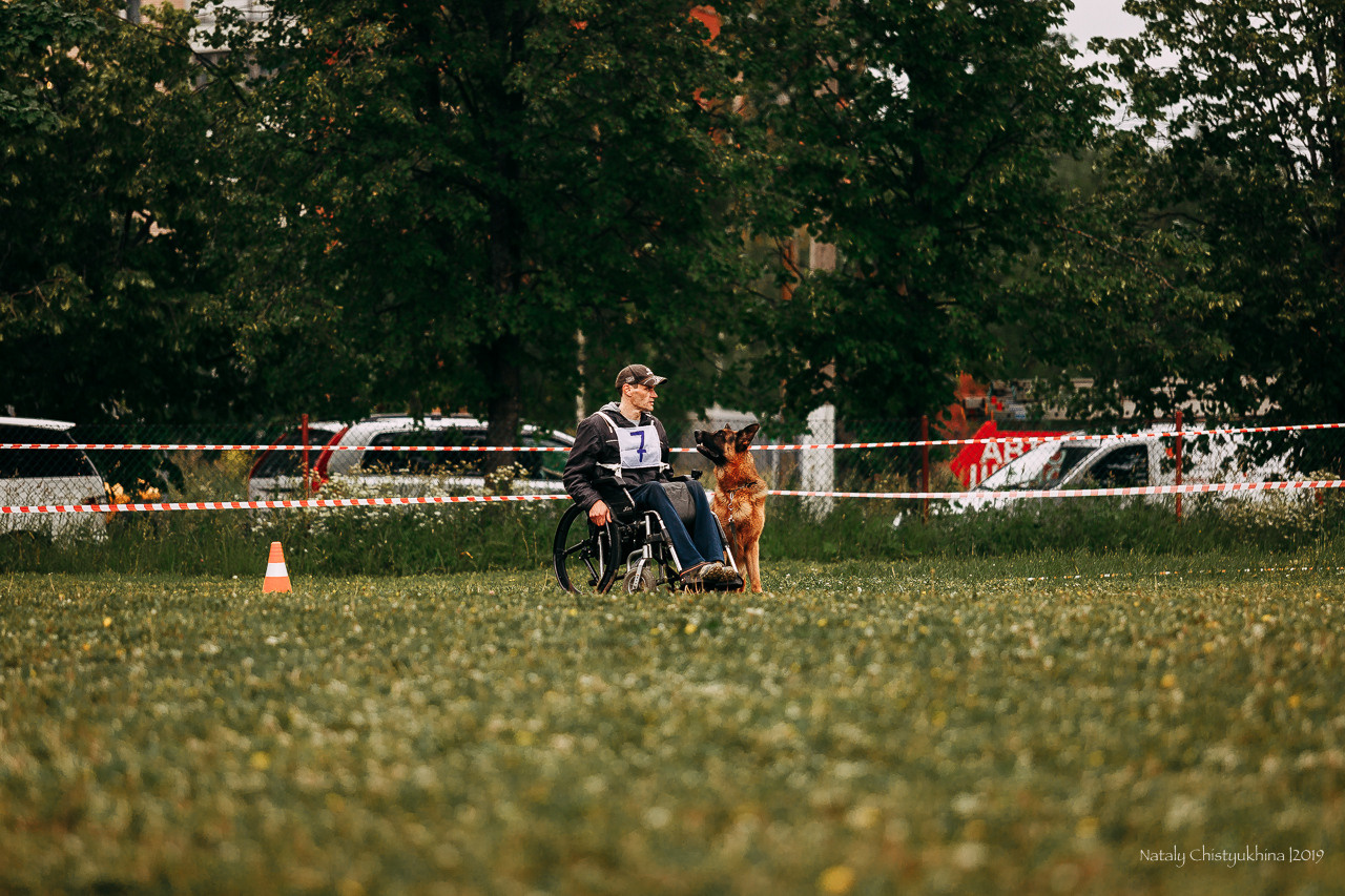 Соревнования БРР. Фотограф-анималист Наталия Чистюхина в г. Сосновый Бор и ЛО
