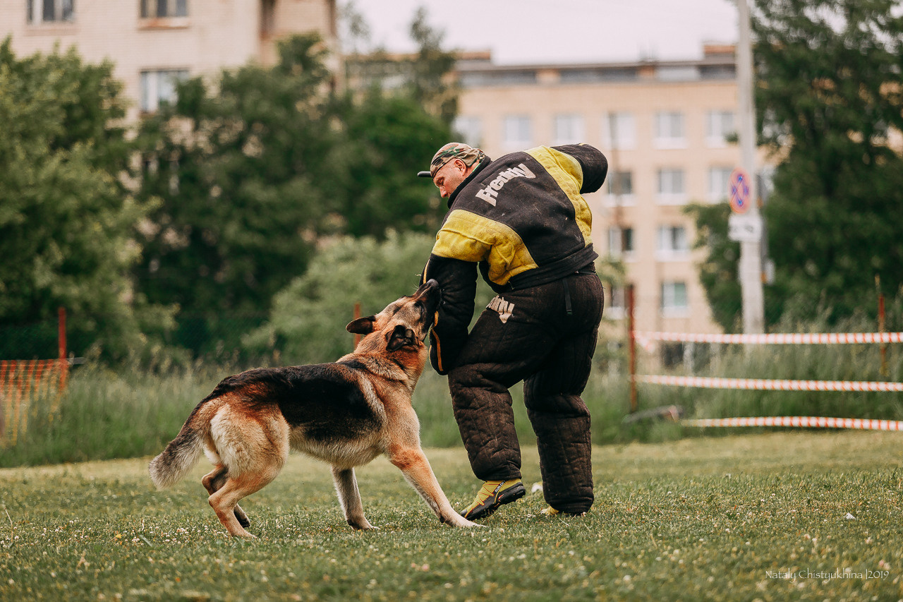 Соревнования БРР. Фотограф-анималист Наталия Чистюхина в г. Сосновый Бор и ЛО