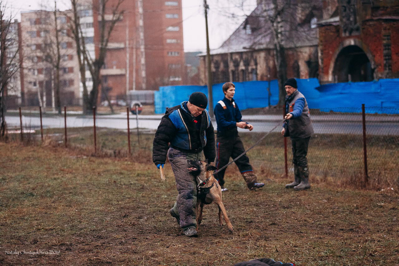 Семинары по мондио. Фотограф-анималист Наталия Чистюхина в г. Сосновый Бор и ЛО