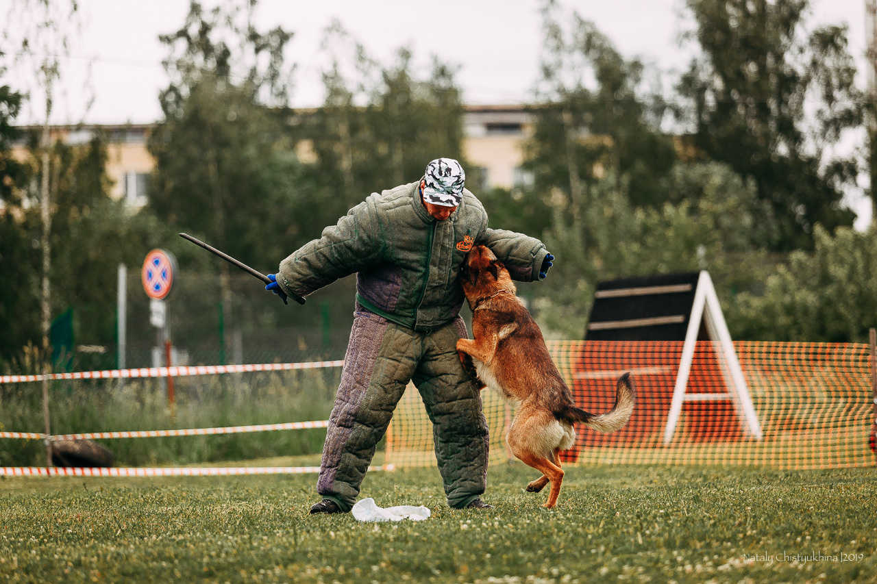 Соревнования БРР. Фотограф-анималист Наталия Чистюхина в г. Сосновый Бор и ЛО