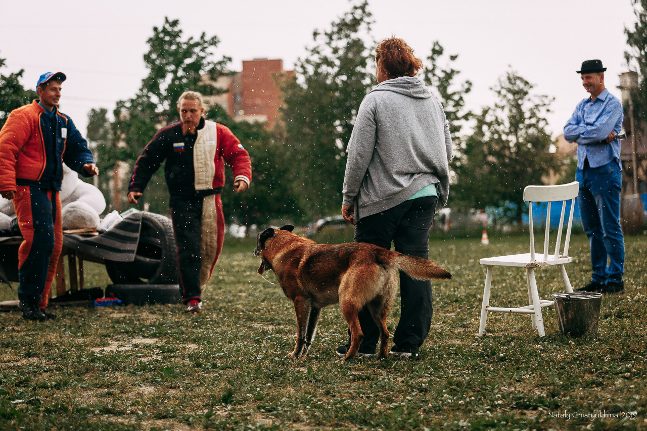 Соревнования по мондьорингу. Фотограф-анималист Наталия Чистюхина в г. Сосновый Бор и ЛО