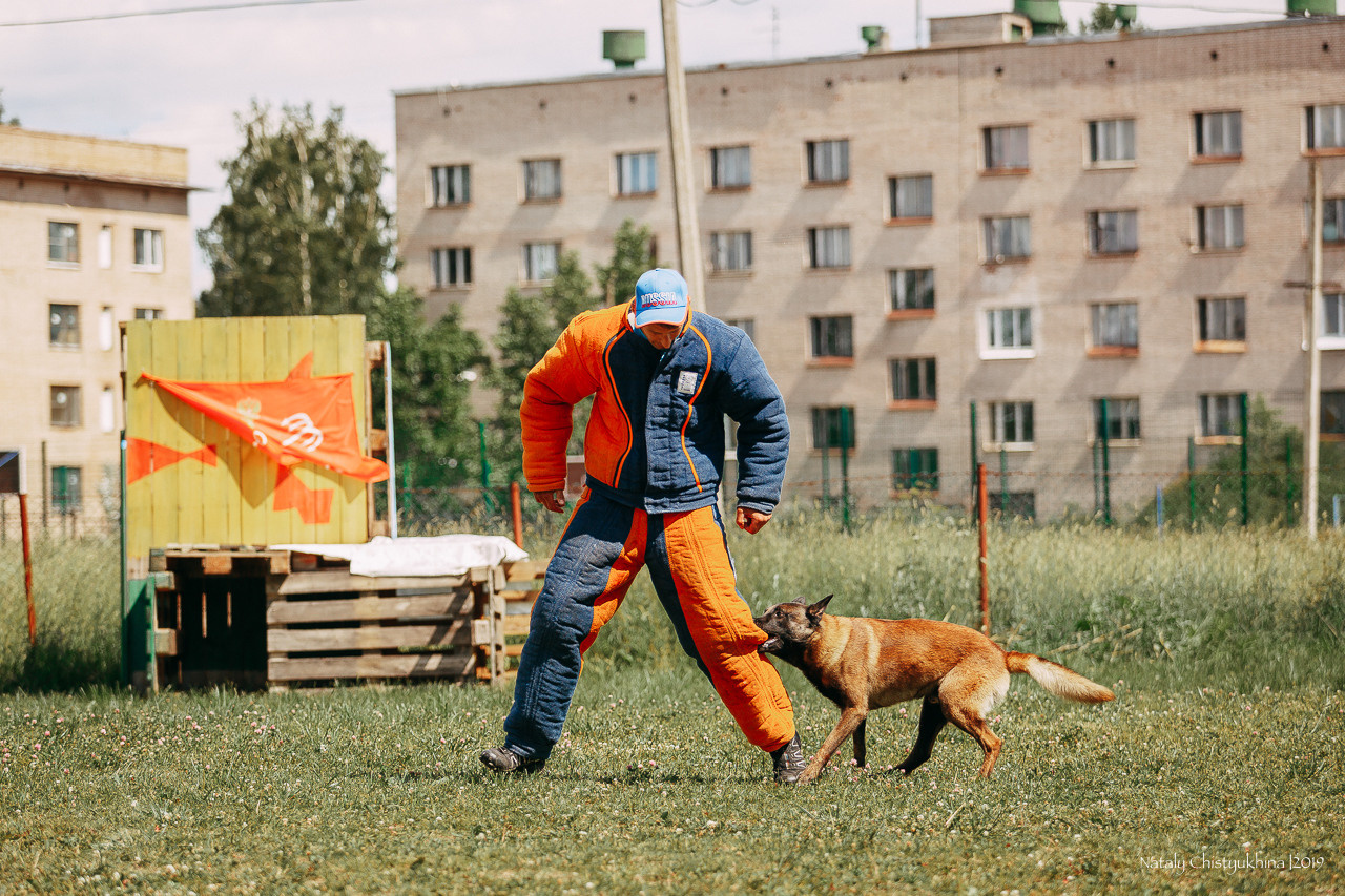 Соревнования по мондьорингу. Фотограф-анималист Наталия Чистюхина в г. Сосновый Бор и ЛО