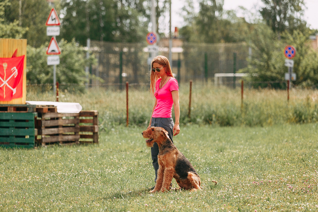 Соревнования по мондьорингу. Фотограф-анималист Наталия Чистюхина в г. Сосновый Бор и ЛО
