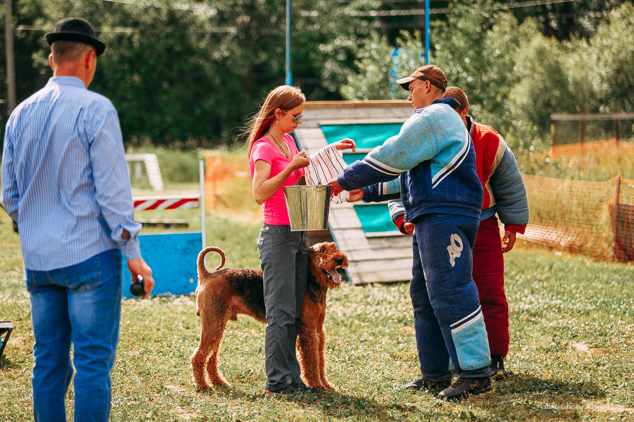 Соревнования по мондьорингу. Фотограф-анималист Наталия Чистюхина в г. Сосновый Бор и ЛО
