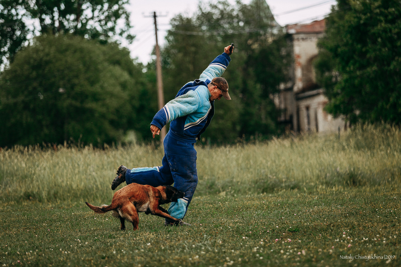 Соревнования по мондьорингу. Фотограф-анималист Наталия Чистюхина в г. Сосновый Бор и ЛО
