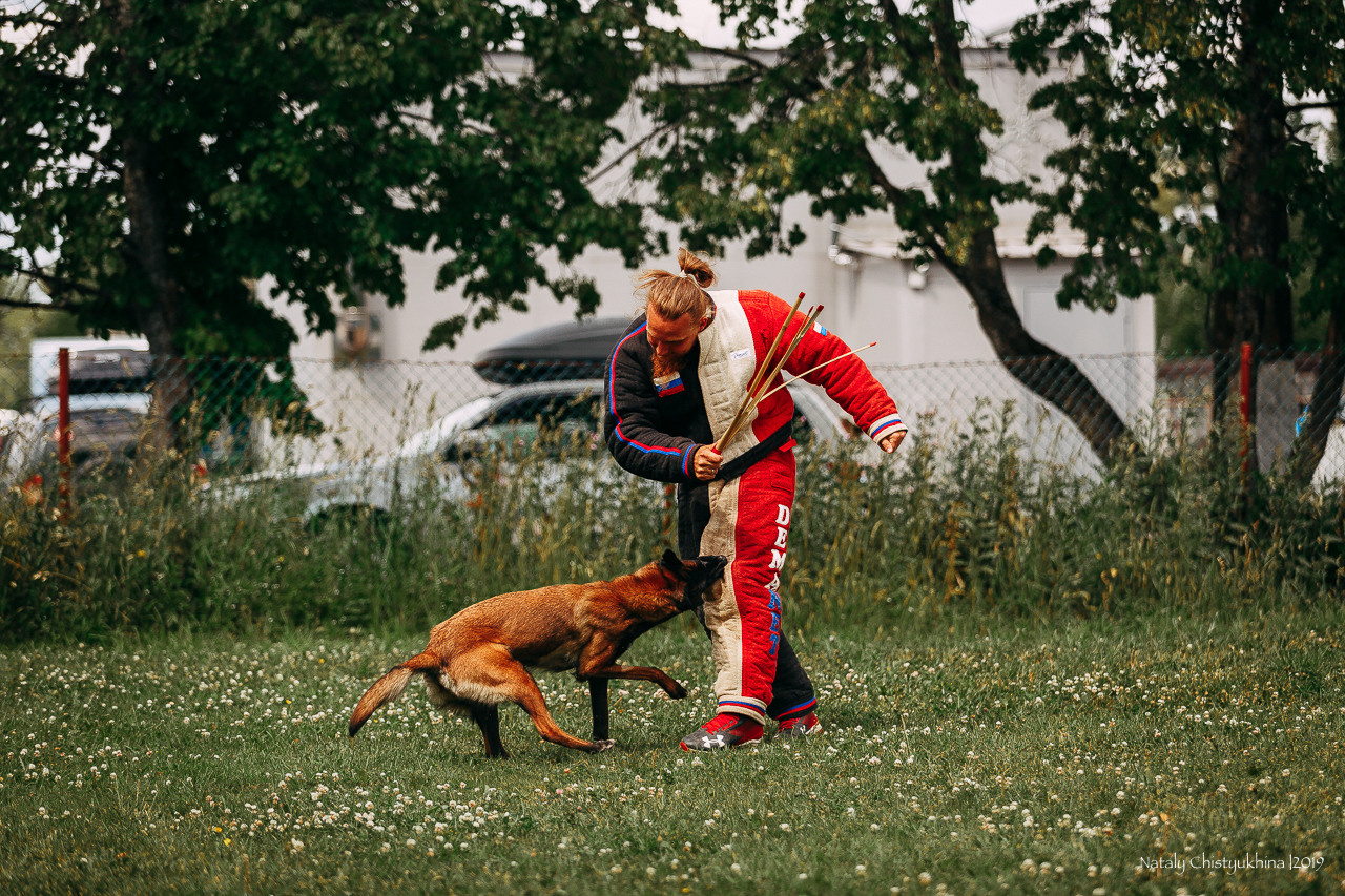 Соревнования по мондьорингу. Фотограф-анималист Наталия Чистюхина в г. Сосновый Бор и ЛО