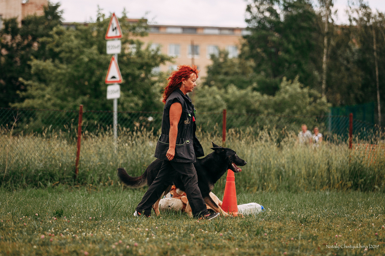 Соревнования по мондьорингу. Фотограф-анималист Наталия Чистюхина в г. Сосновый Бор и ЛО