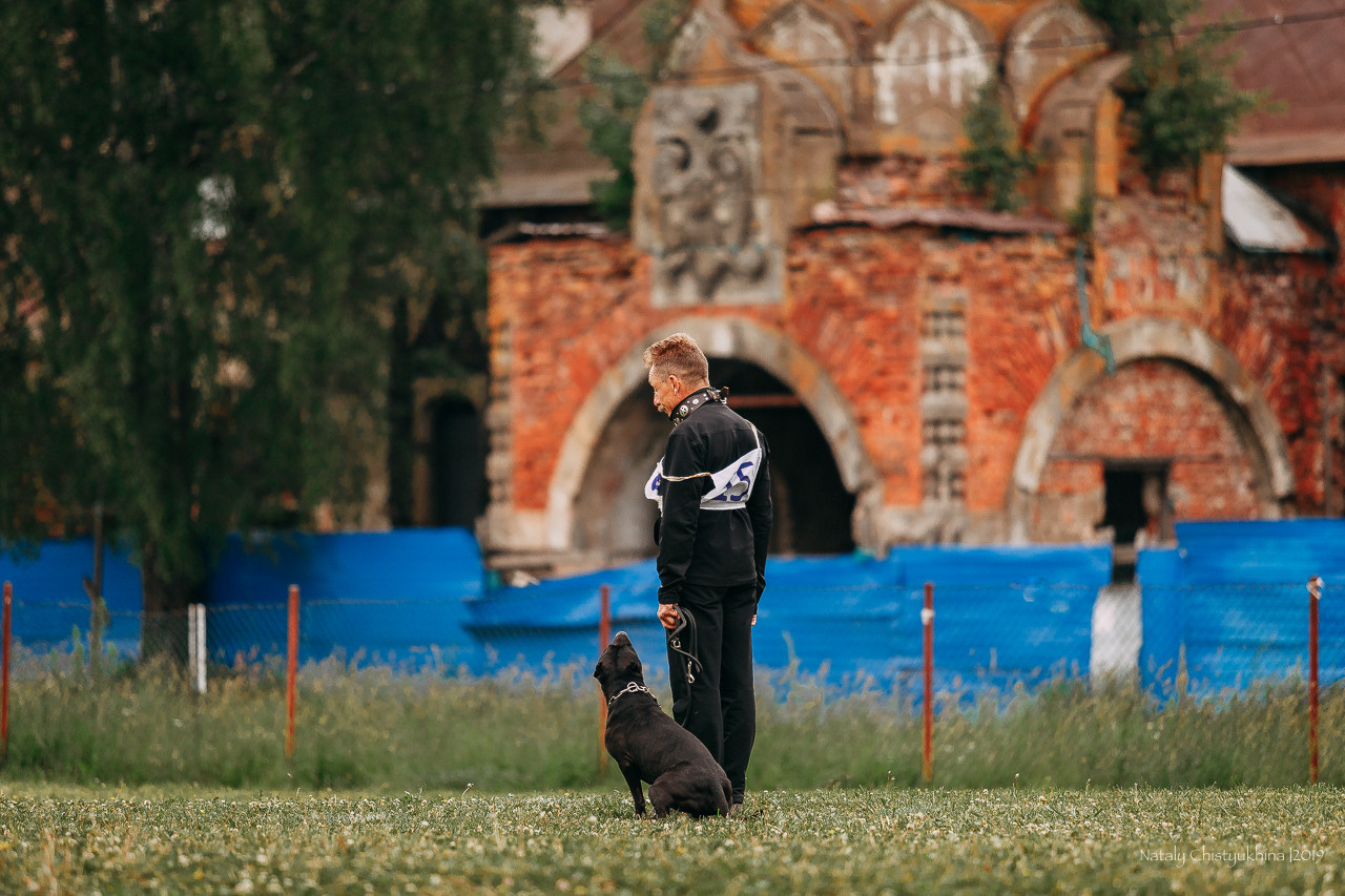 Соревнования БРР. Фотограф-анималист Наталия Чистюхина в г. Сосновый Бор и ЛО