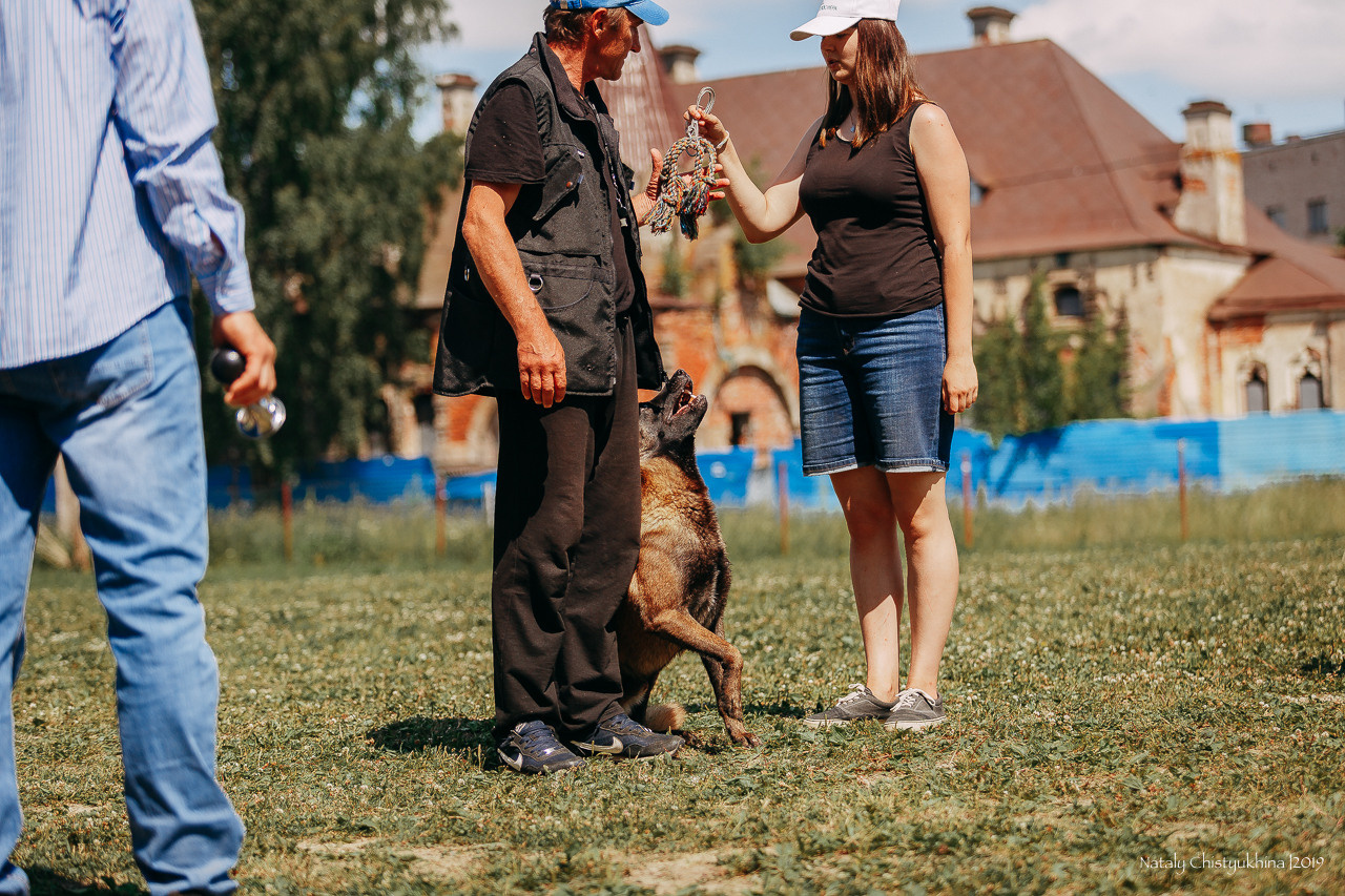 Соревнования по мондьорингу. Фотограф-анималист Наталия Чистюхина в г. Сосновый Бор и ЛО