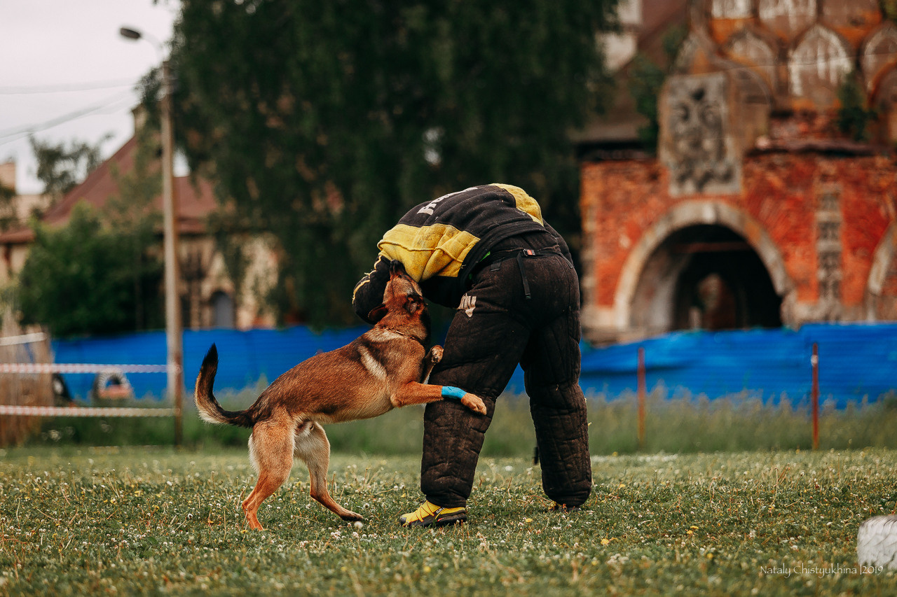 Соревнования БРР. Фотограф-анималист Наталия Чистюхина в г. Сосновый Бор и ЛО