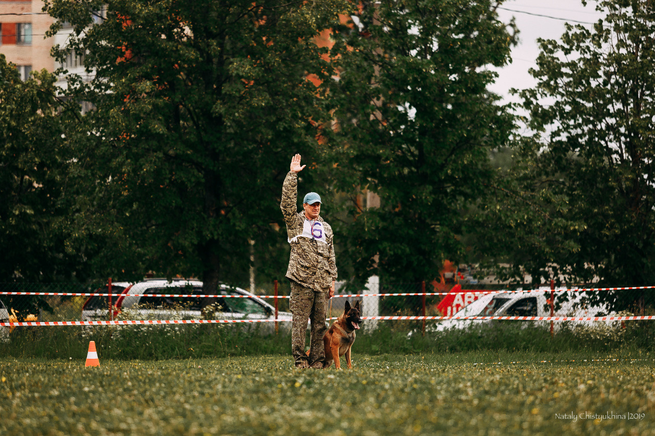 Соревнования БРР. Фотограф-анималист Наталия Чистюхина в г. Сосновый Бор и ЛО