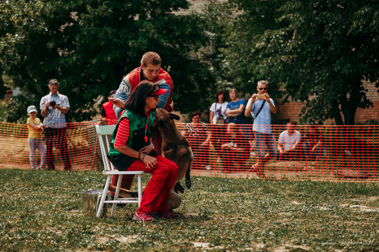 Соревнования по мондьорингу. Фотограф-анималист Наталия Чистюхина в г. Сосновый Бор и ЛО