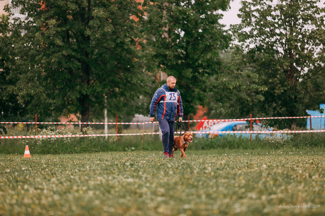 Соревнования БРР. Фотограф-анималист Наталия Чистюхина в г. Сосновый Бор и ЛО