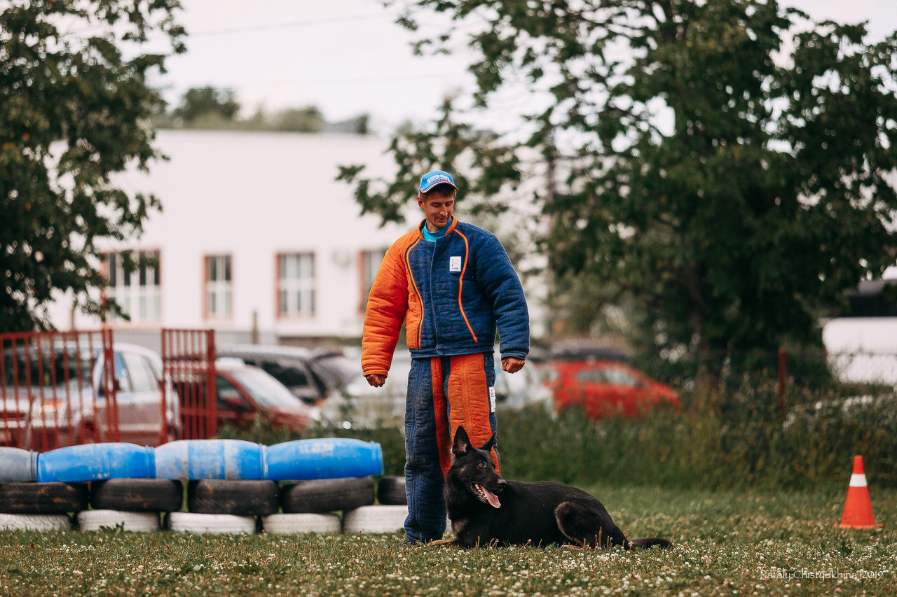 Соревнования по мондьорингу. Фотограф-анималист Наталия Чистюхина в г. Сосновый Бор и ЛО