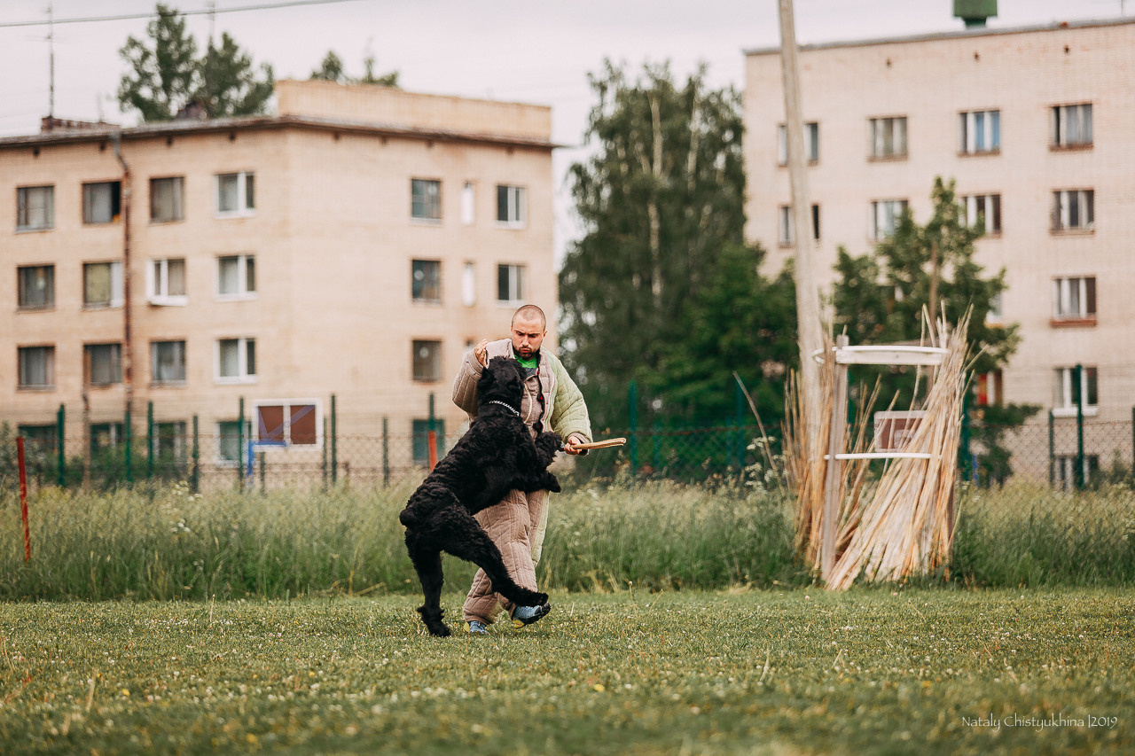 Соревнования БРР. Фотограф-анималист Наталия Чистюхина в г. Сосновый Бор и ЛО