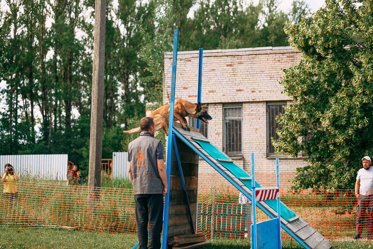Соревнования по мондьорингу. Фотограф-анималист Наталия Чистюхина в г. Сосновый Бор и ЛО