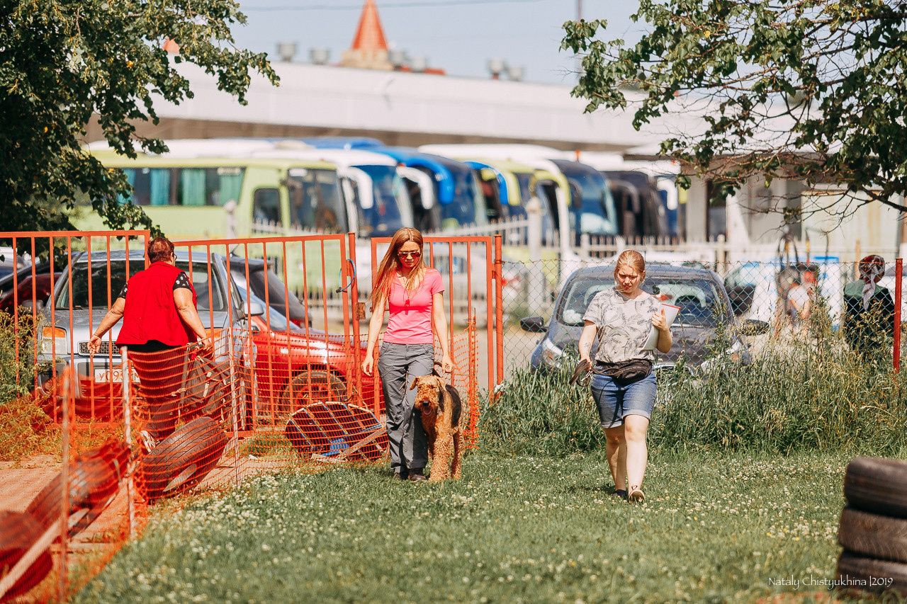 Соревнования по мондьорингу. Фотограф-анималист Наталия Чистюхина в г. Сосновый Бор и ЛО