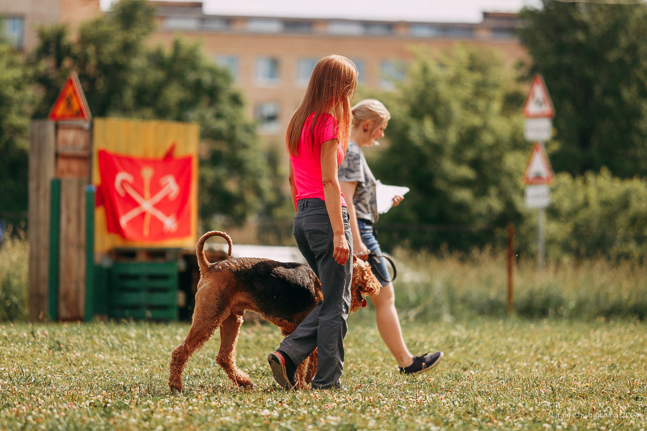 Соревнования по мондьорингу. Фотограф-анималист Наталия Чистюхина в г. Сосновый Бор и ЛО