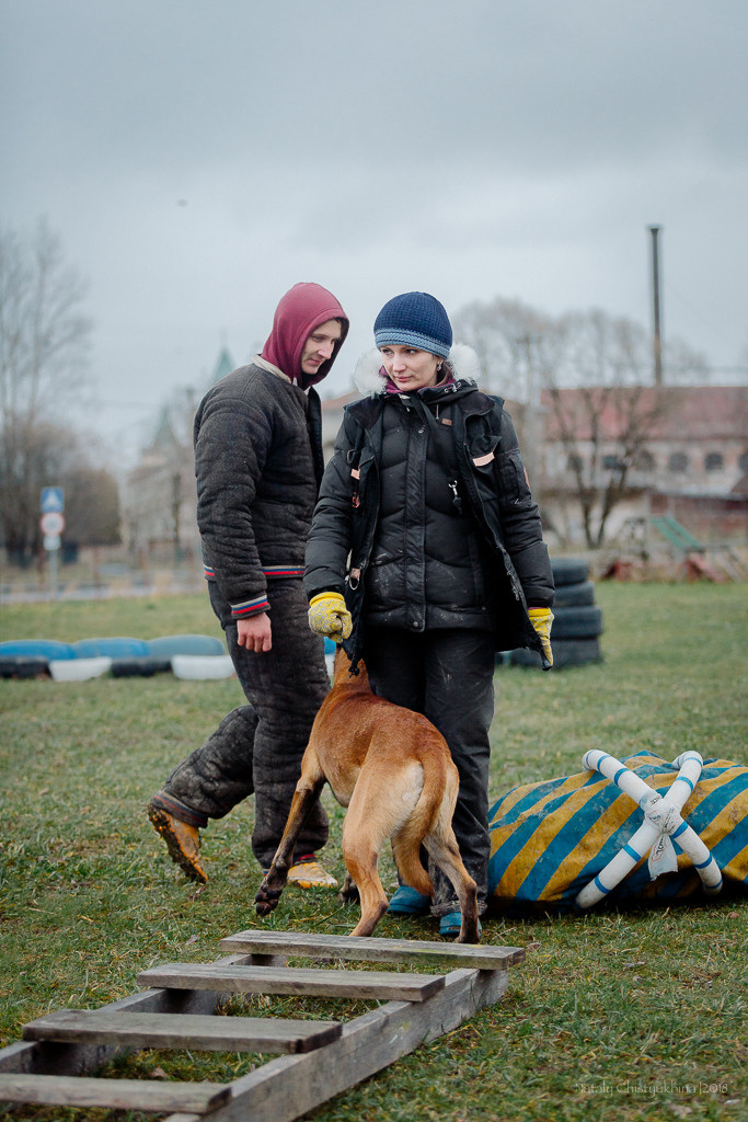 Семинары по мондио. Фотограф-анималист Наталия Чистюхина в г. Сосновый Бор и ЛО