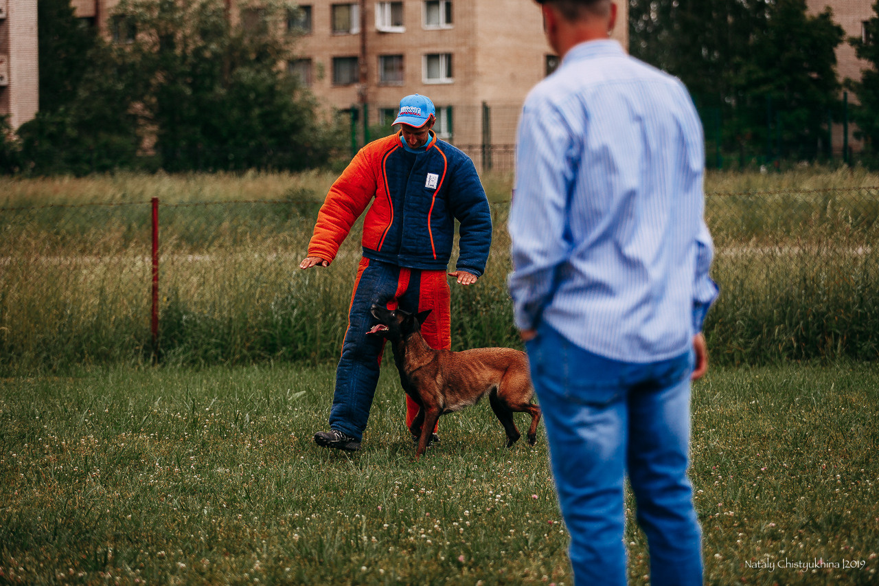 Соревнования по мондьорингу. Фотограф-анималист Наталия Чистюхина в г. Сосновый Бор и ЛО