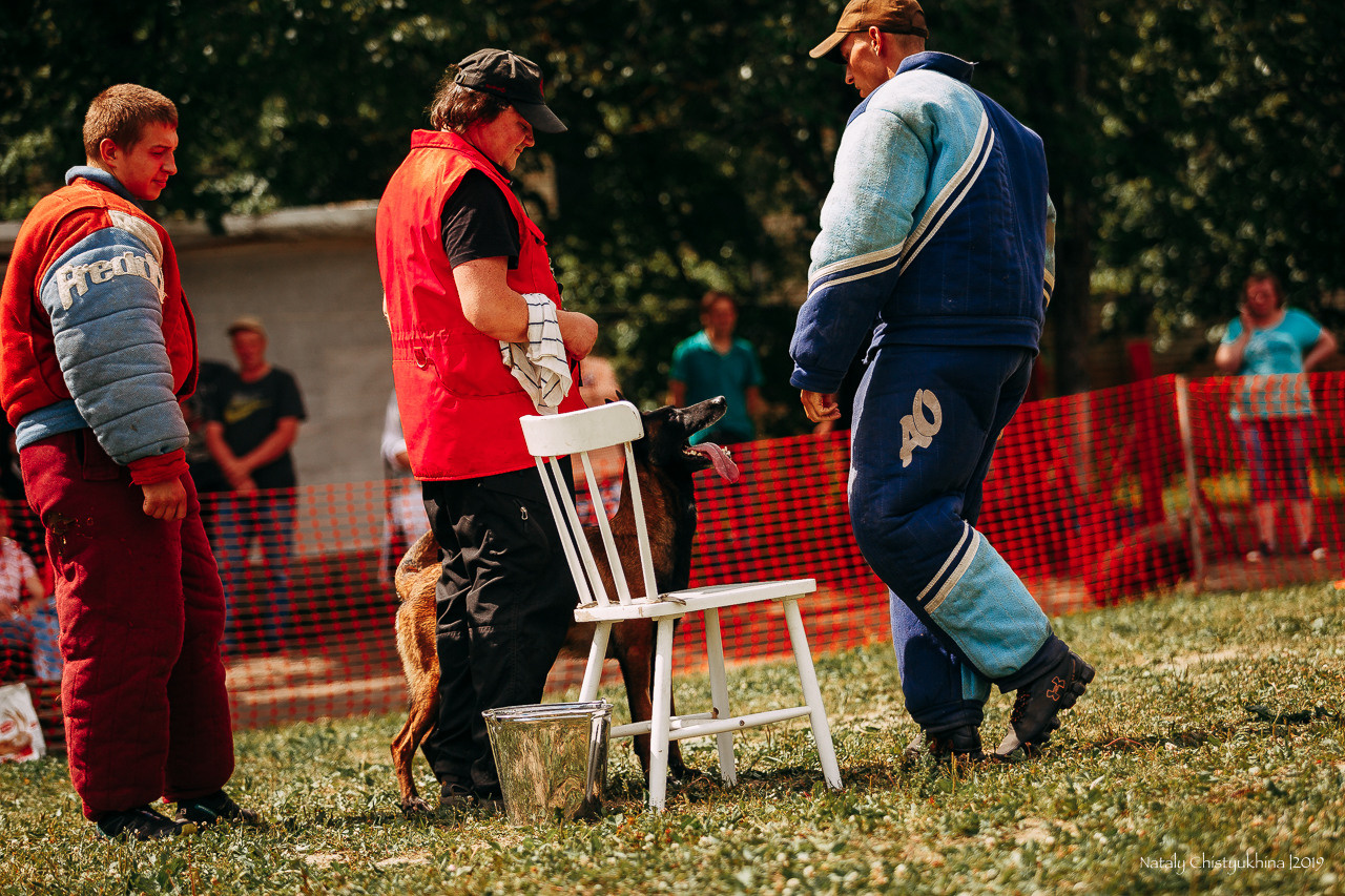 Соревнования по мондьорингу. Фотограф-анималист Наталия Чистюхина в г. Сосновый Бор и ЛО