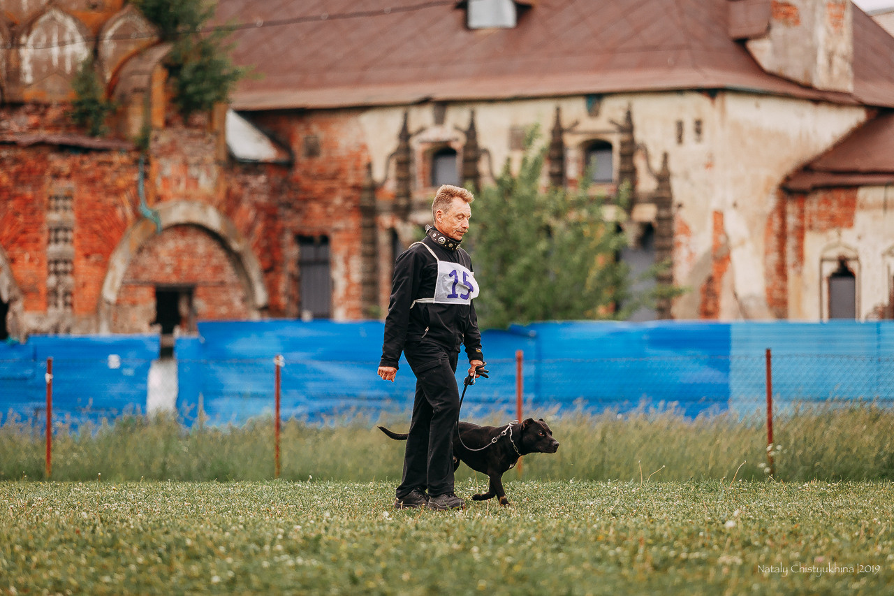 Соревнования БРР. Фотограф-анималист Наталия Чистюхина в г. Сосновый Бор и ЛО