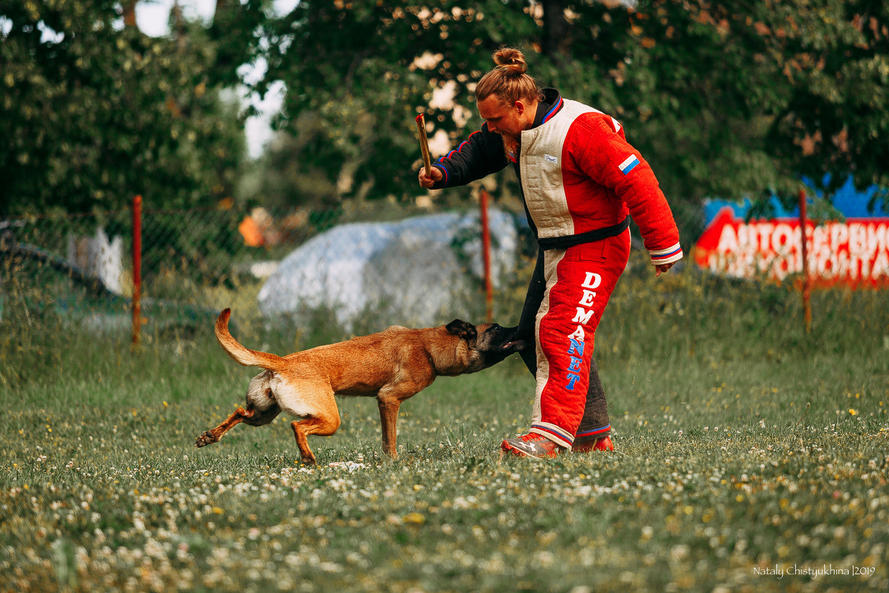 Соревнования по мондьорингу. Фотограф-анималист Наталия Чистюхина в г. Сосновый Бор и ЛО