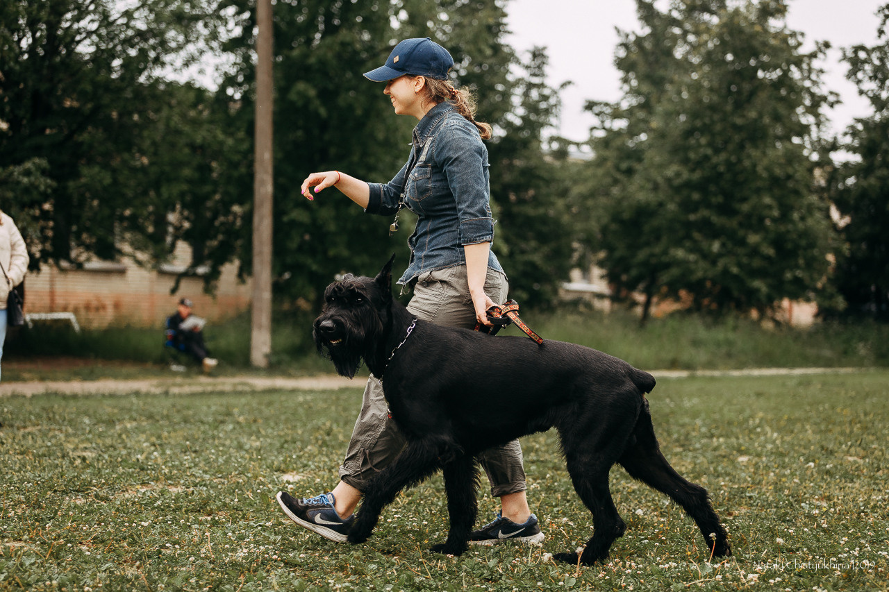 Соревнования БРР. Фотограф-анималист Наталия Чистюхина в г. Сосновый Бор и ЛО