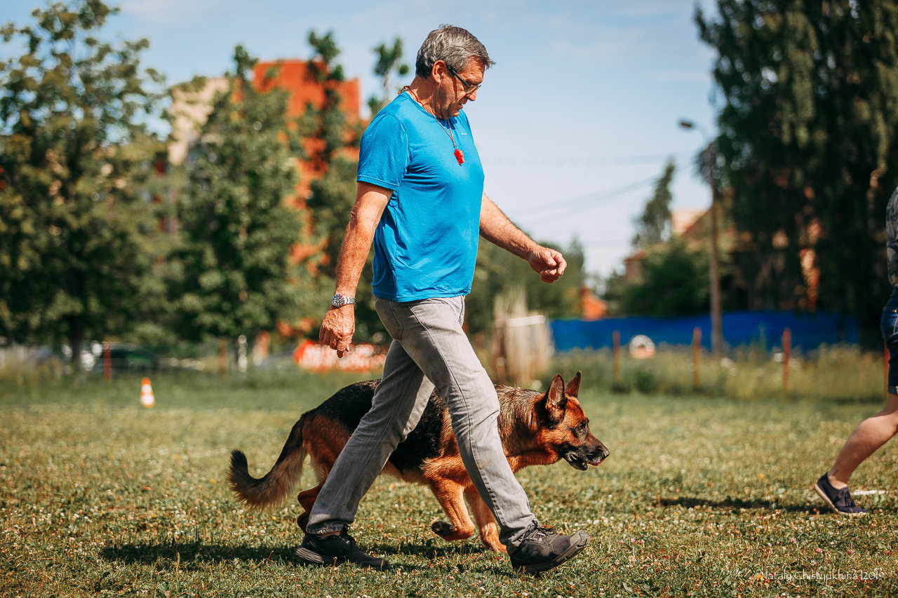 Соревнования по мондьорингу. Фотограф-анималист Наталия Чистюхина в г. Сосновый Бор и ЛО
