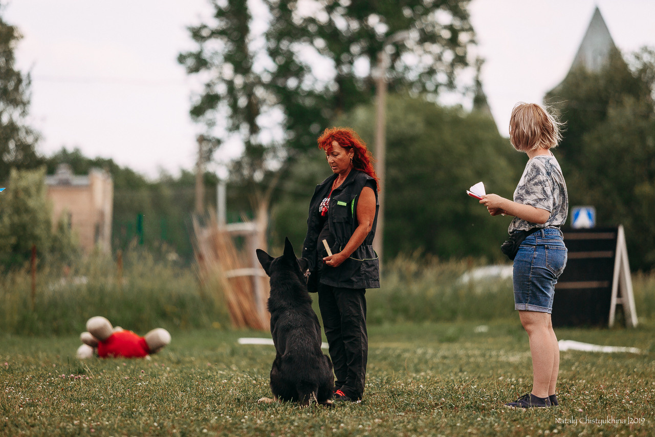 Соревнования по мондьорингу. Фотограф-анималист Наталия Чистюхина в г. Сосновый Бор и ЛО