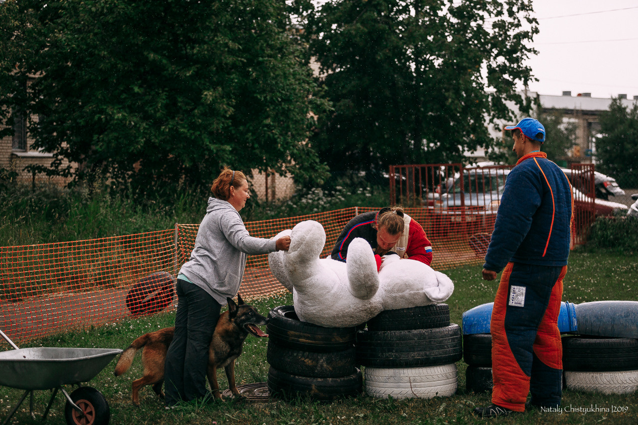 Соревнования по мондьорингу. Фотограф-анималист Наталия Чистюхина в г. Сосновый Бор и ЛО