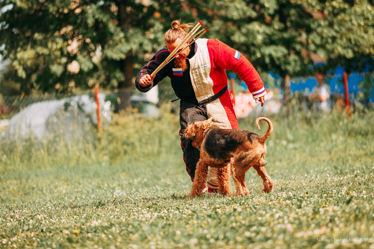 Соревнования по мондьорингу. Фотограф-анималист Наталия Чистюхина в г. Сосновый Бор и ЛО