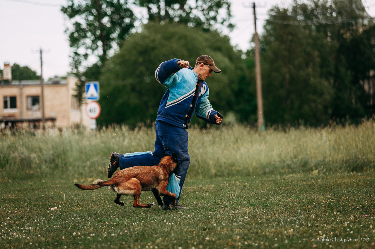 Соревнования по мондьорингу. Фотограф-анималист Наталия Чистюхина в г. Сосновый Бор и ЛО