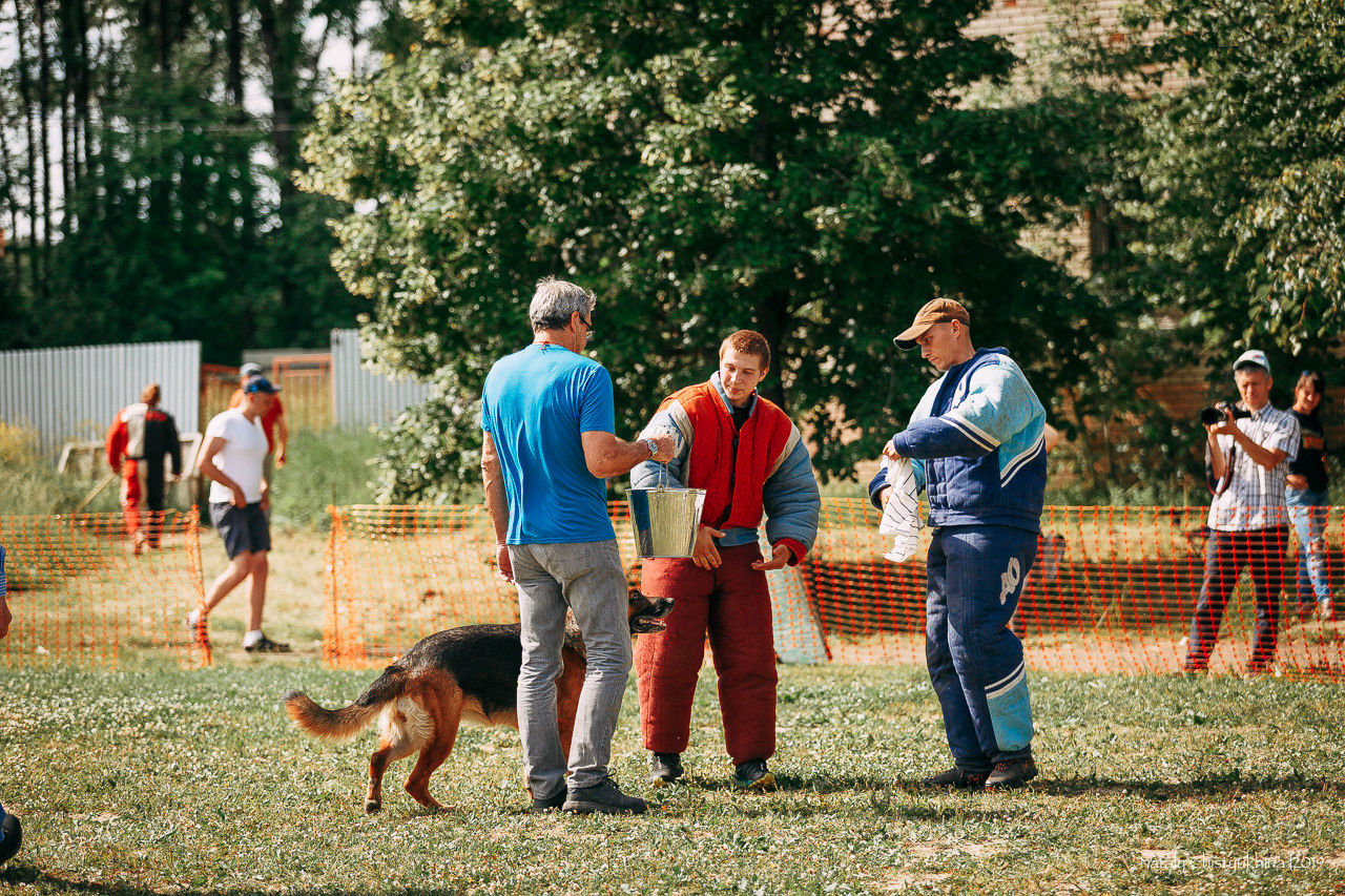 Соревнования по мондьорингу. Фотограф-анималист Наталия Чистюхина в г. Сосновый Бор и ЛО