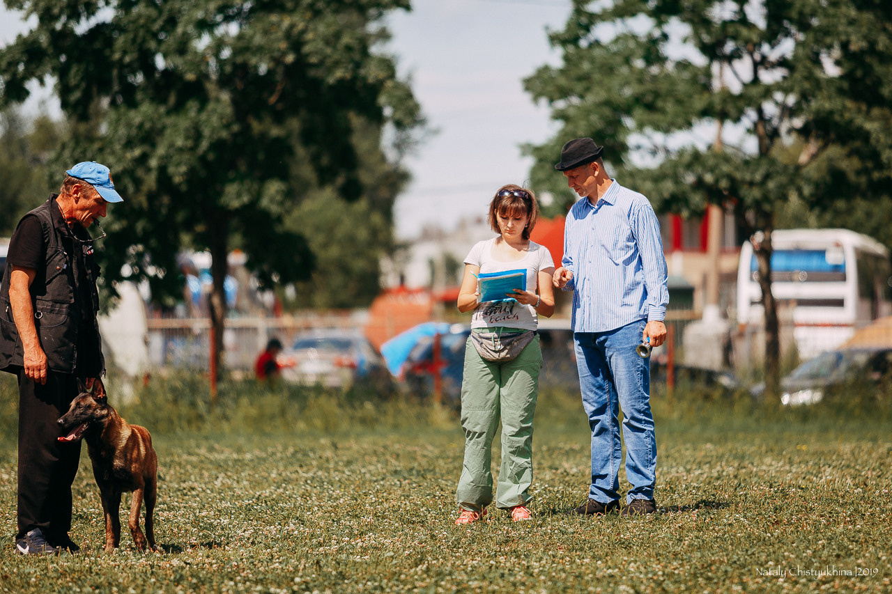 Соревнования по мондьорингу. Фотограф-анималист Наталия Чистюхина в г. Сосновый Бор и ЛО